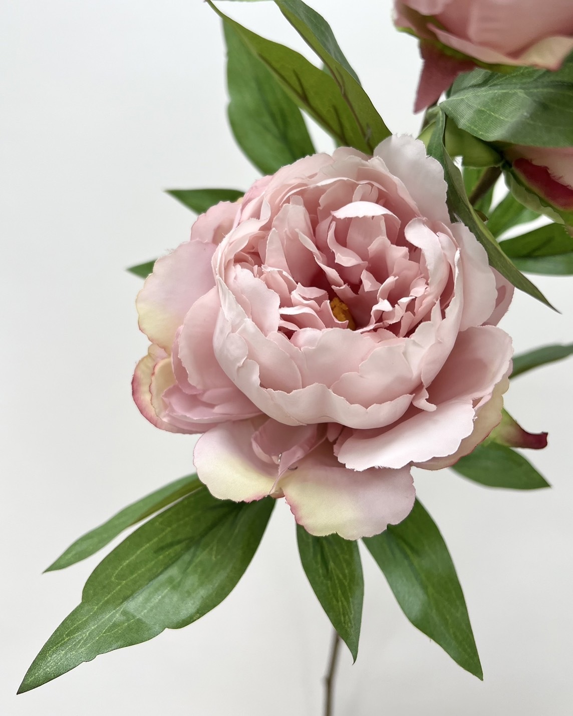 日本擬真花 芍藥 FM3604系列