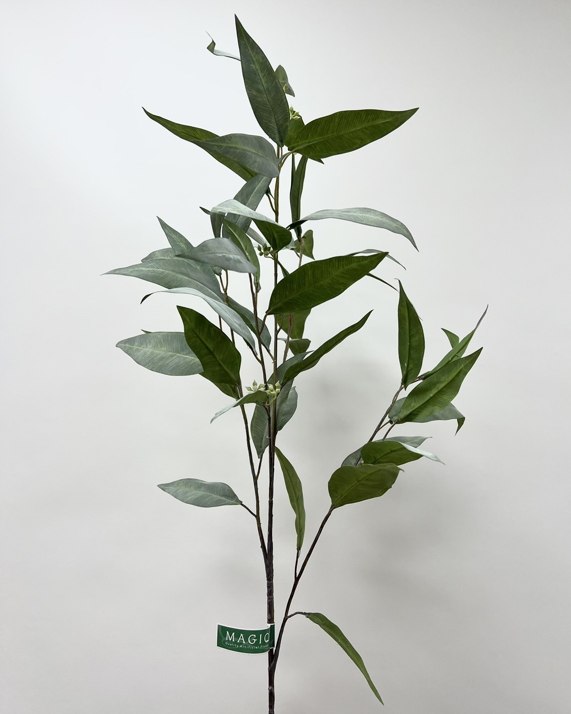 日本擬真花 大葉尤加利(帶果實) FG1681