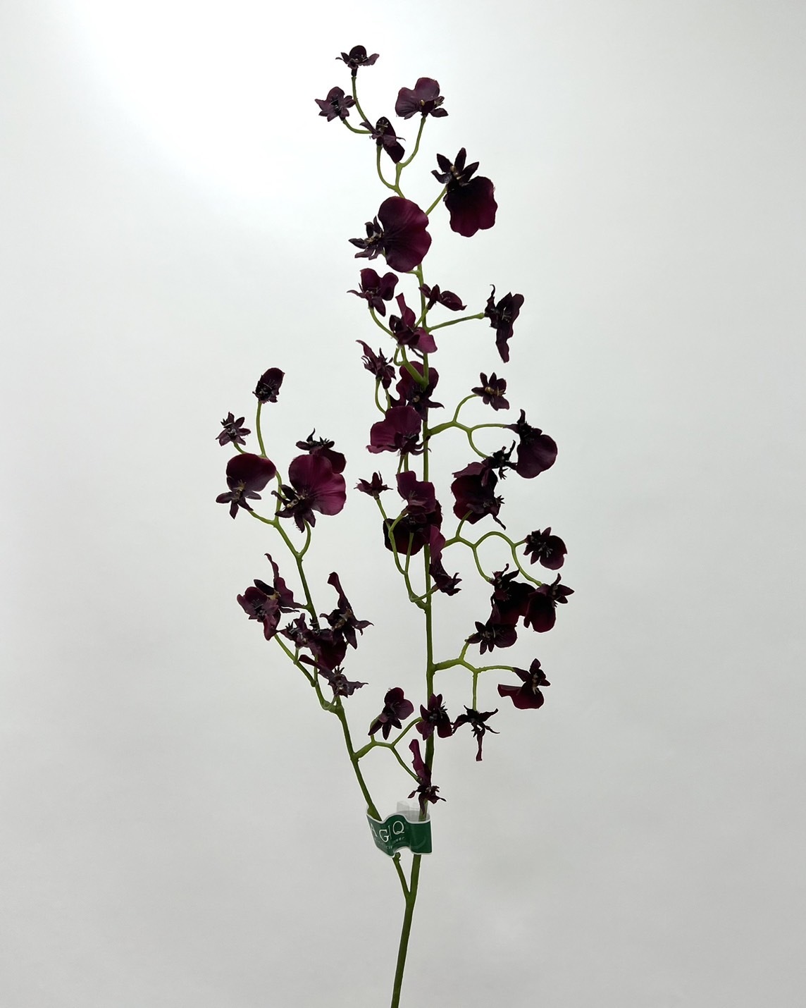 日本擬真花 櫻桃文心蘭 FM8866系列