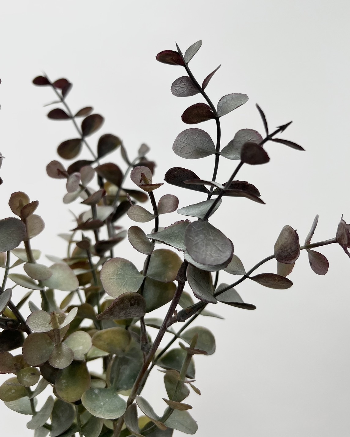 日本擬真花 小圓尤加利 FG3396系列