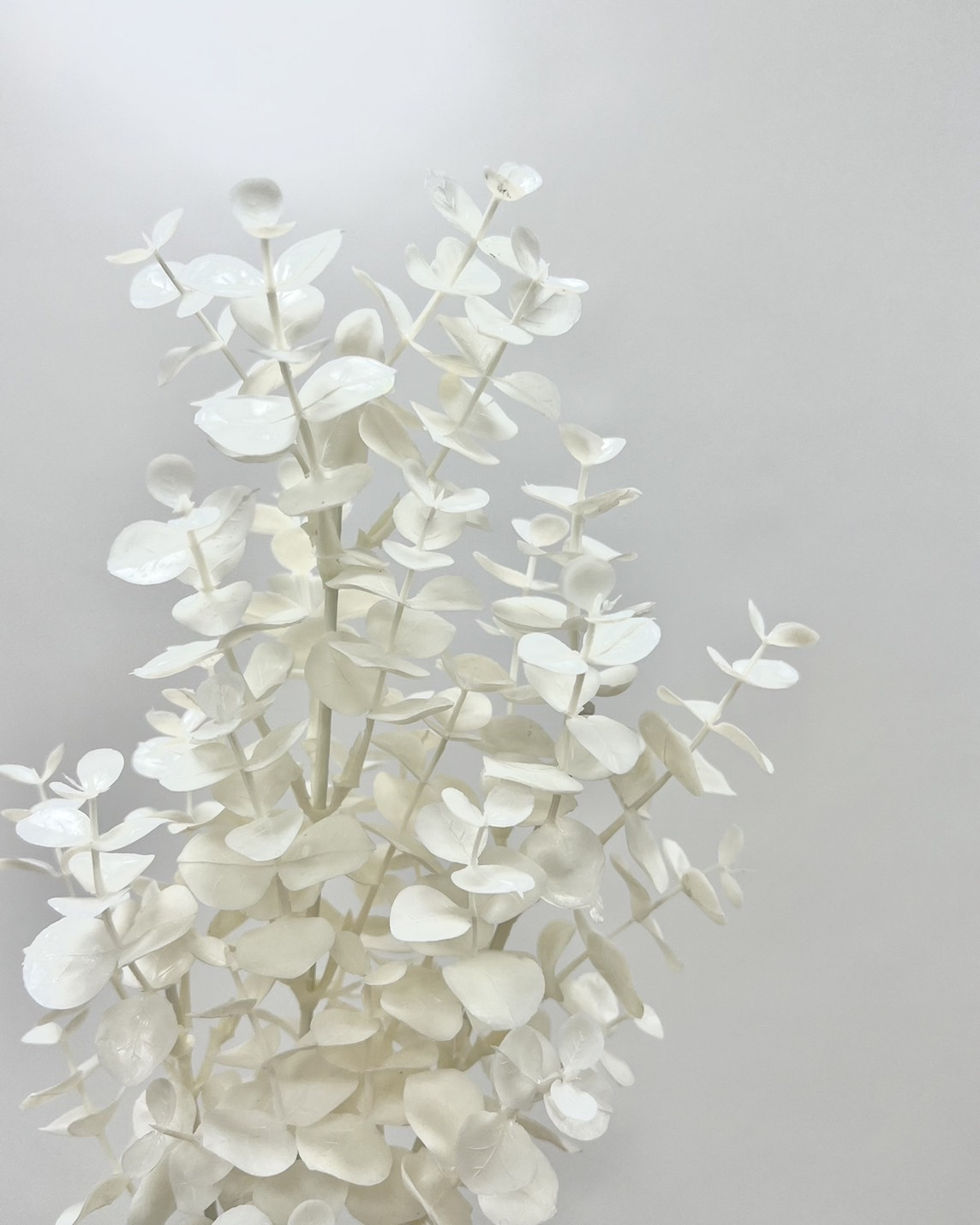 日本擬真花 漂白小圓尤加利 FG3722系列