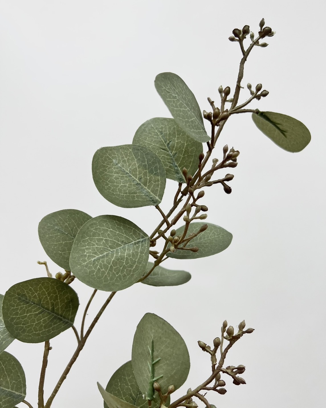 日本擬真花 大圓帶果尤加利 FG9683