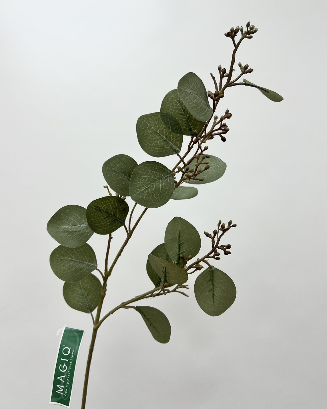 日本擬真花 大圓帶果尤加利 FG9683