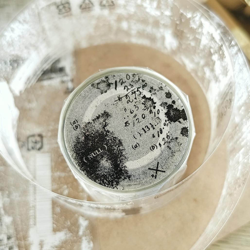 PLUSMINUS．NULL 5cm亮面PET膠帶 <整捲/分裝>