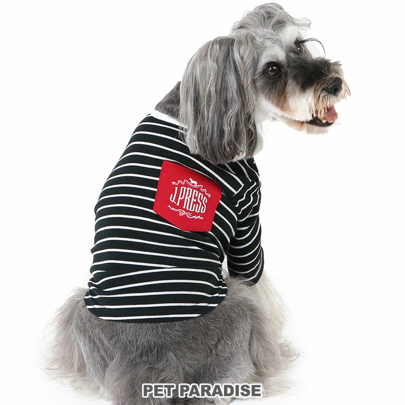 【Pet Paradise】J.Press Rib T-Shirt - Border <614-55654>