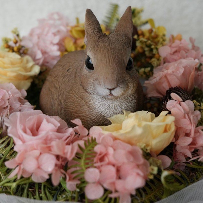 兔兔夏日花園禮盒