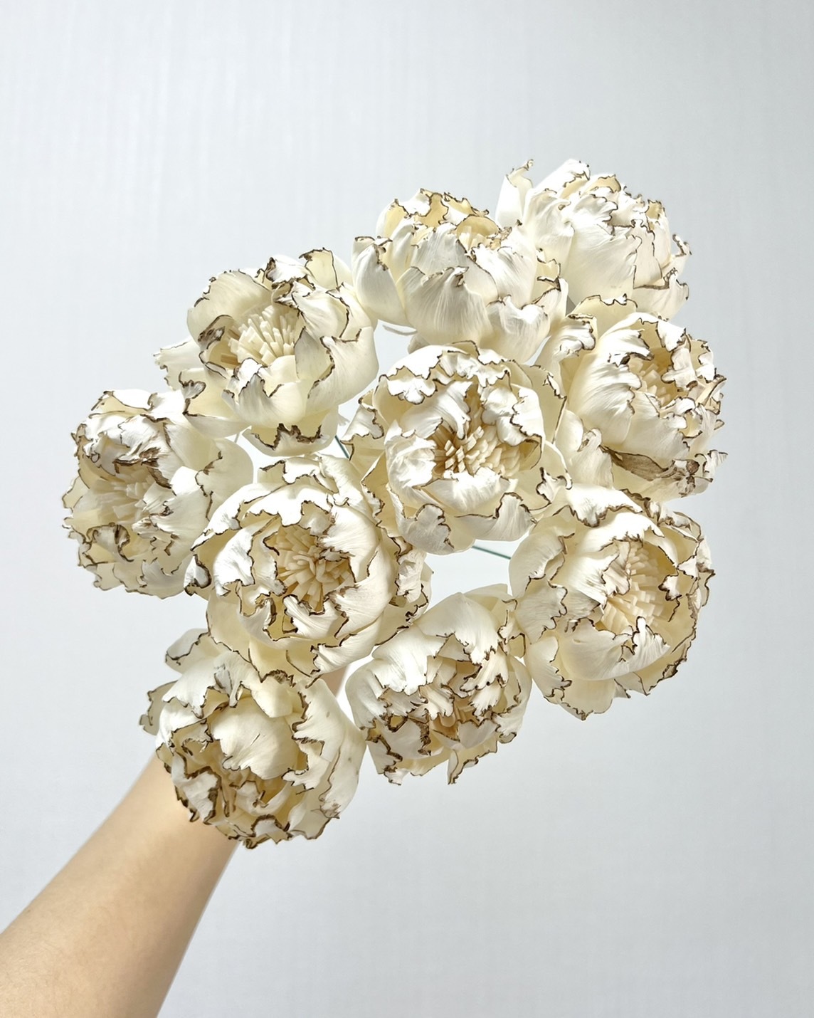 泰國索拉花 小香風牡丹 6CM <十支一把> (高品質)