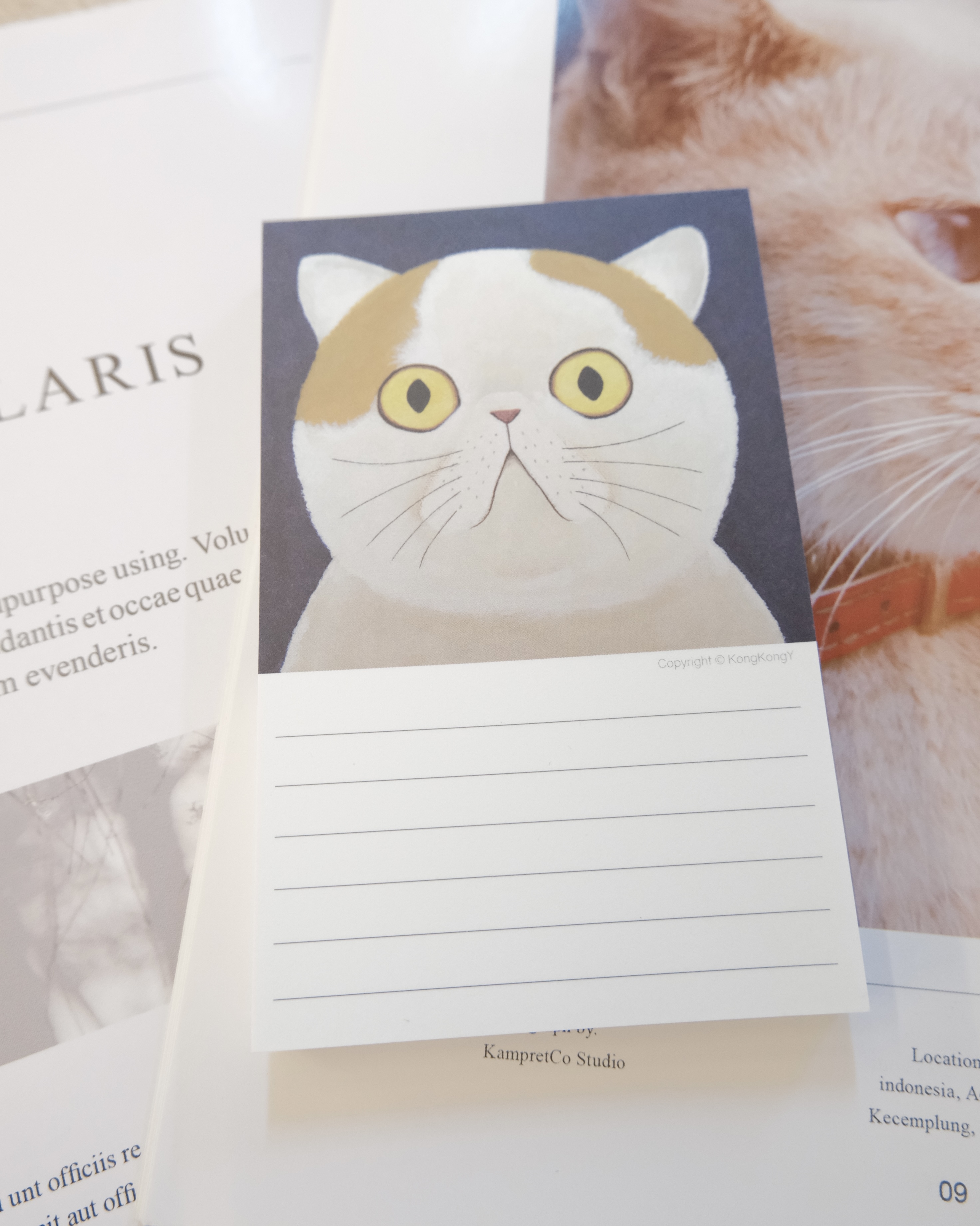 胖貓筆記紙