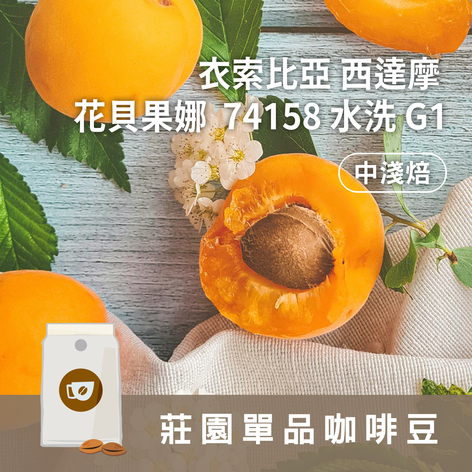 莊園精品咖啡豆 中淺焙 衣索比亞 西達摩 花貝果娜 74158 頂級TOP G1