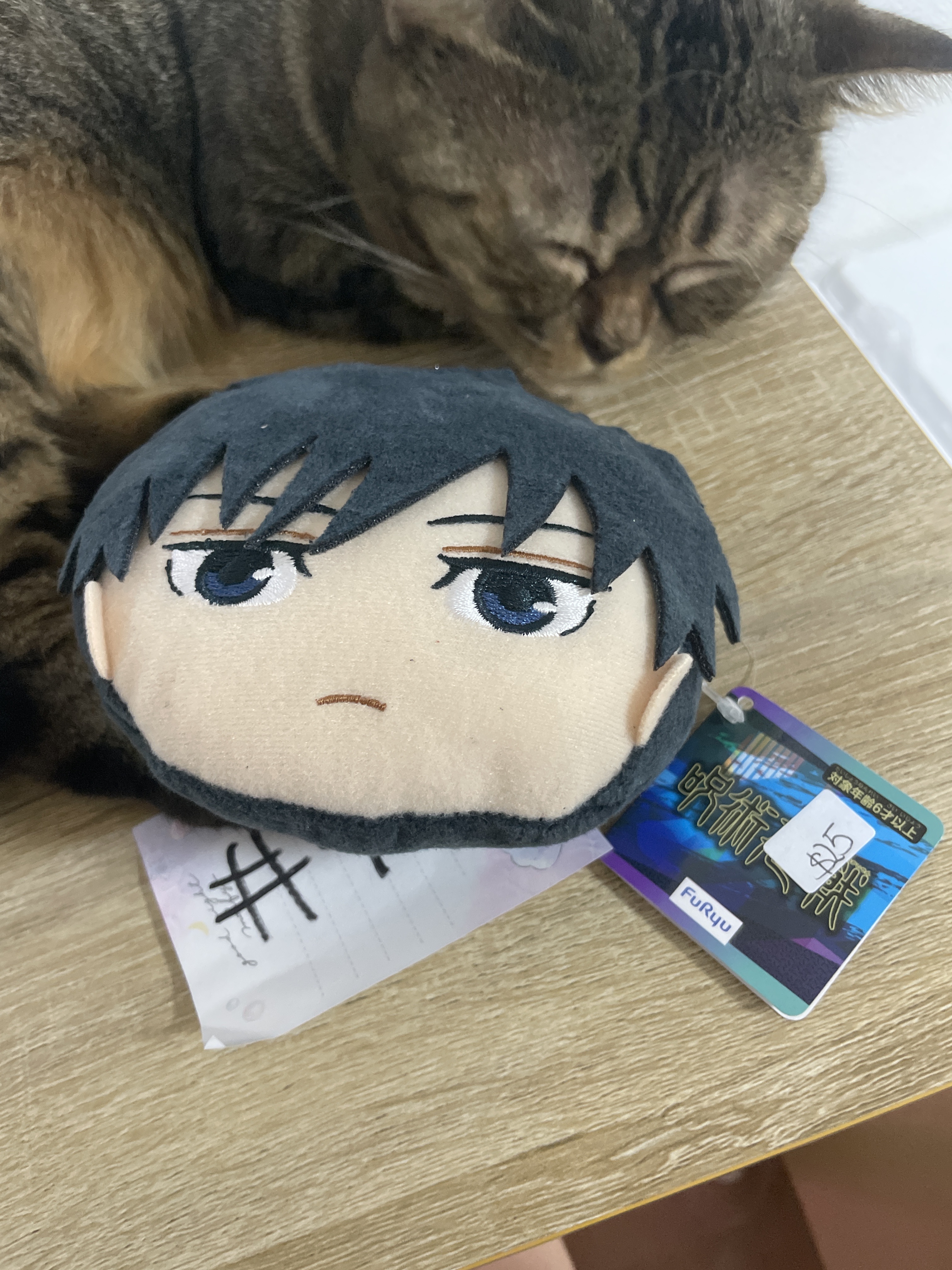 咒術迴戰    惠 散紙包#90