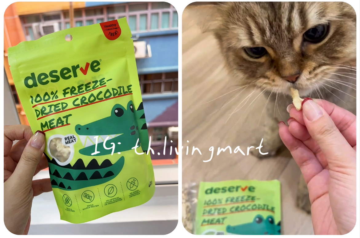 泰國製造 100% 凍乾鱷魚肉粒 40g #貓狗適用