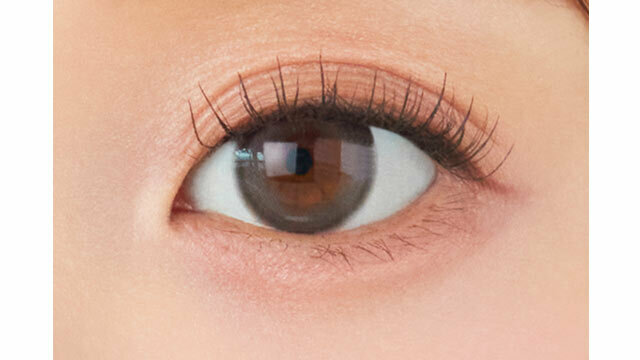 [日拋] meilly 1 Day Chiffon Gray｜彩妝隱形眼鏡｜每盒10片