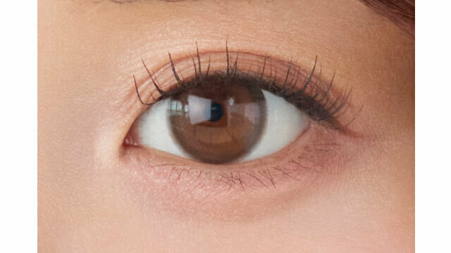 [日拋] meilly 1 Day Chiffon Brown｜彩妝隱形眼鏡｜每盒10片