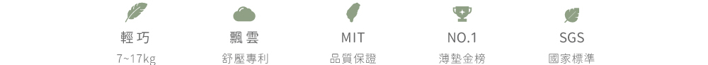 輕巧、飄雲專利、MIT品質保證、薄墊首選、通過SGS國家標準