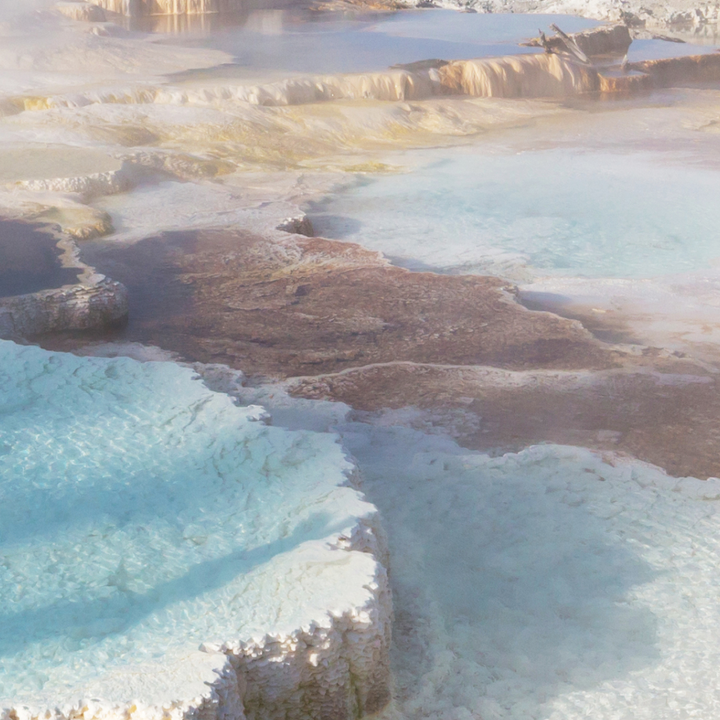 冰島火山賦活紅藻