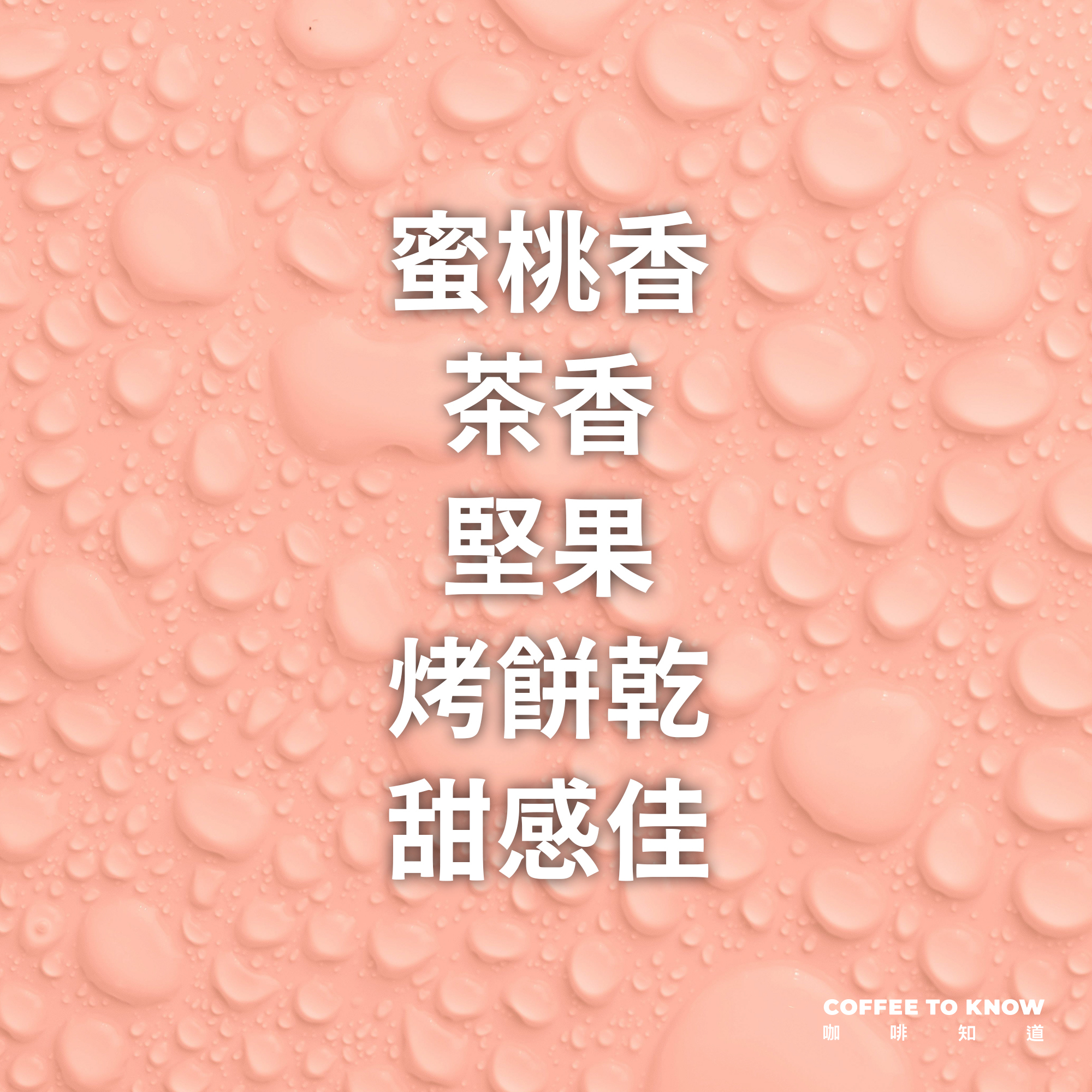 浸泡咖啡5包 / 中烘焙 白桃烏龍黑咖啡 / 浸泡包 / 茶包式咖啡