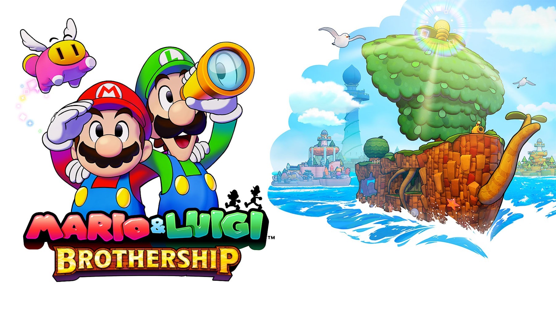 Nintendo Switch Mario and Luigi Brothership