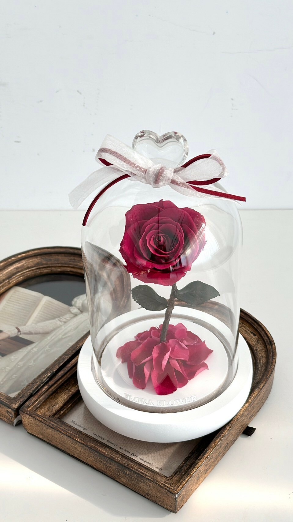 小王子永生玫瑰花 - 野薔薇 野玫瑰