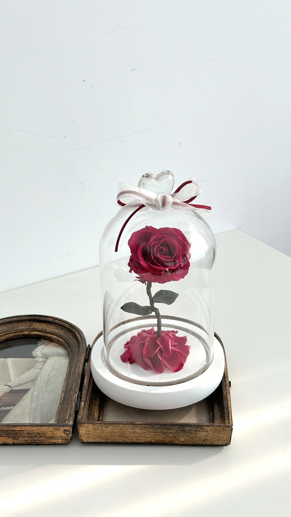 小王子永生玫瑰花 - 野薔薇 野玫瑰