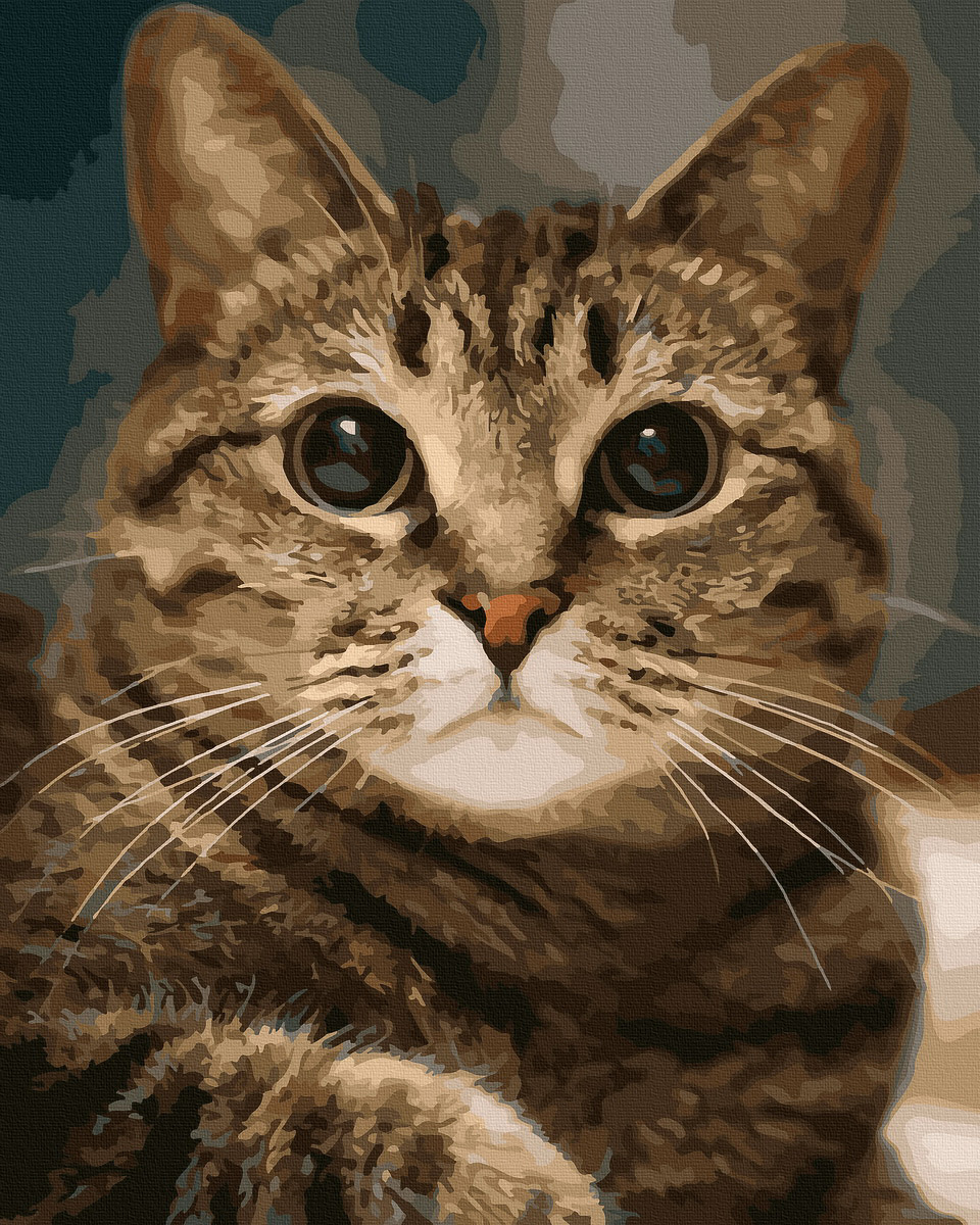 【DT061】慵懶的貓