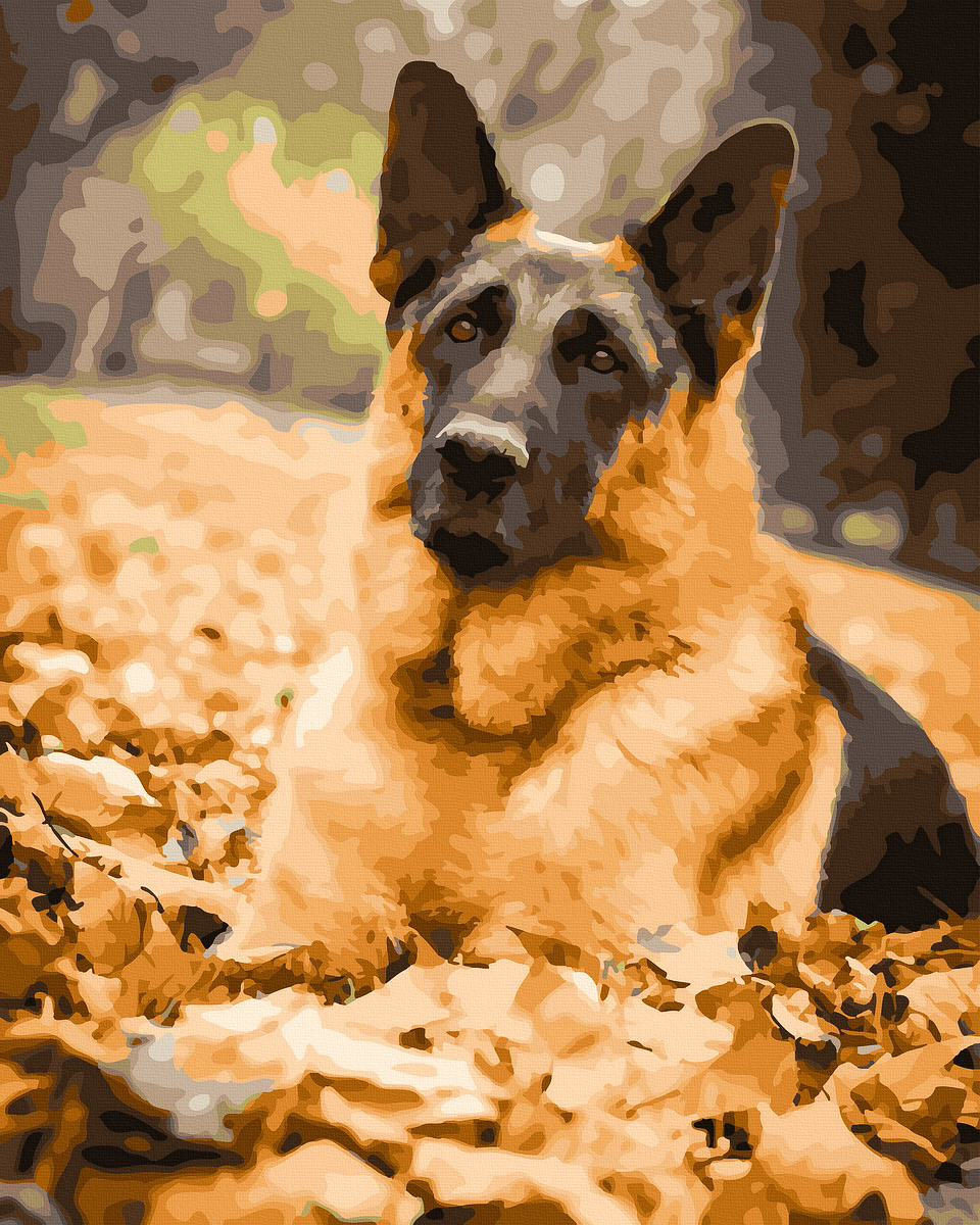 【DT181】等待的秋天