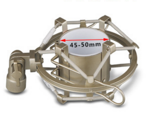 Microphone - shock mount