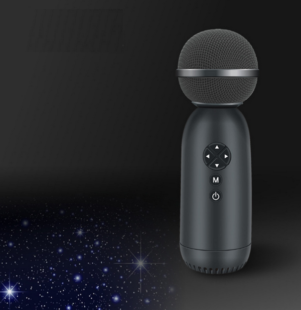 Wireless Bluetooth karaoke microphone KG168-black