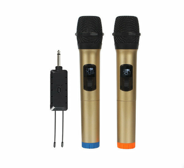 Wireless Microphone One for Two Microphones-Gold(JIY-E6)