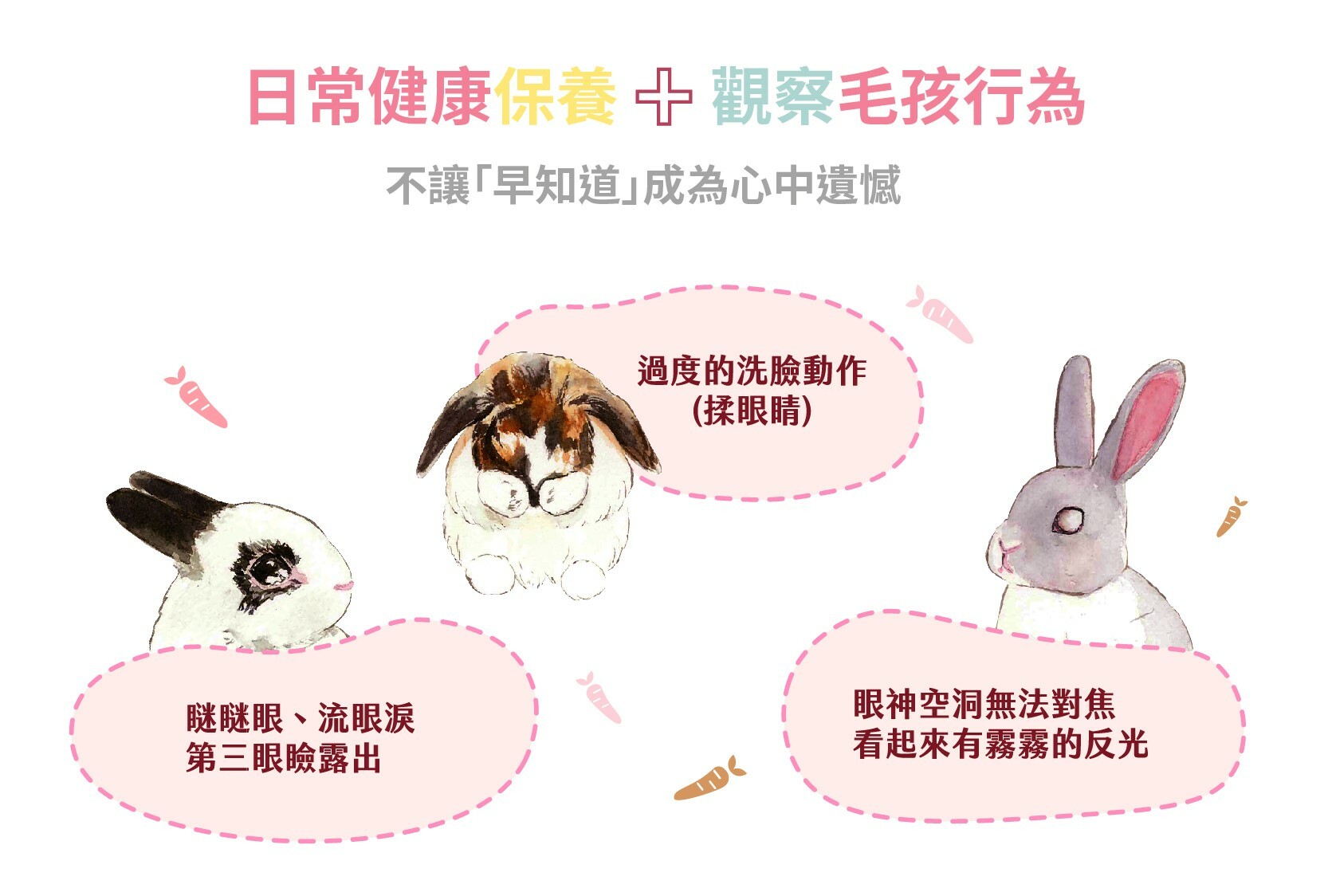 日常健康保養+觀察毛孩行為 不讓早知道成為心中遺憾 瞇瞇眼 流眼淚 第三眼臉露出 過度洗臉動作 揉眼睛 眼神空洞無法對焦看起來有霧霧的反光