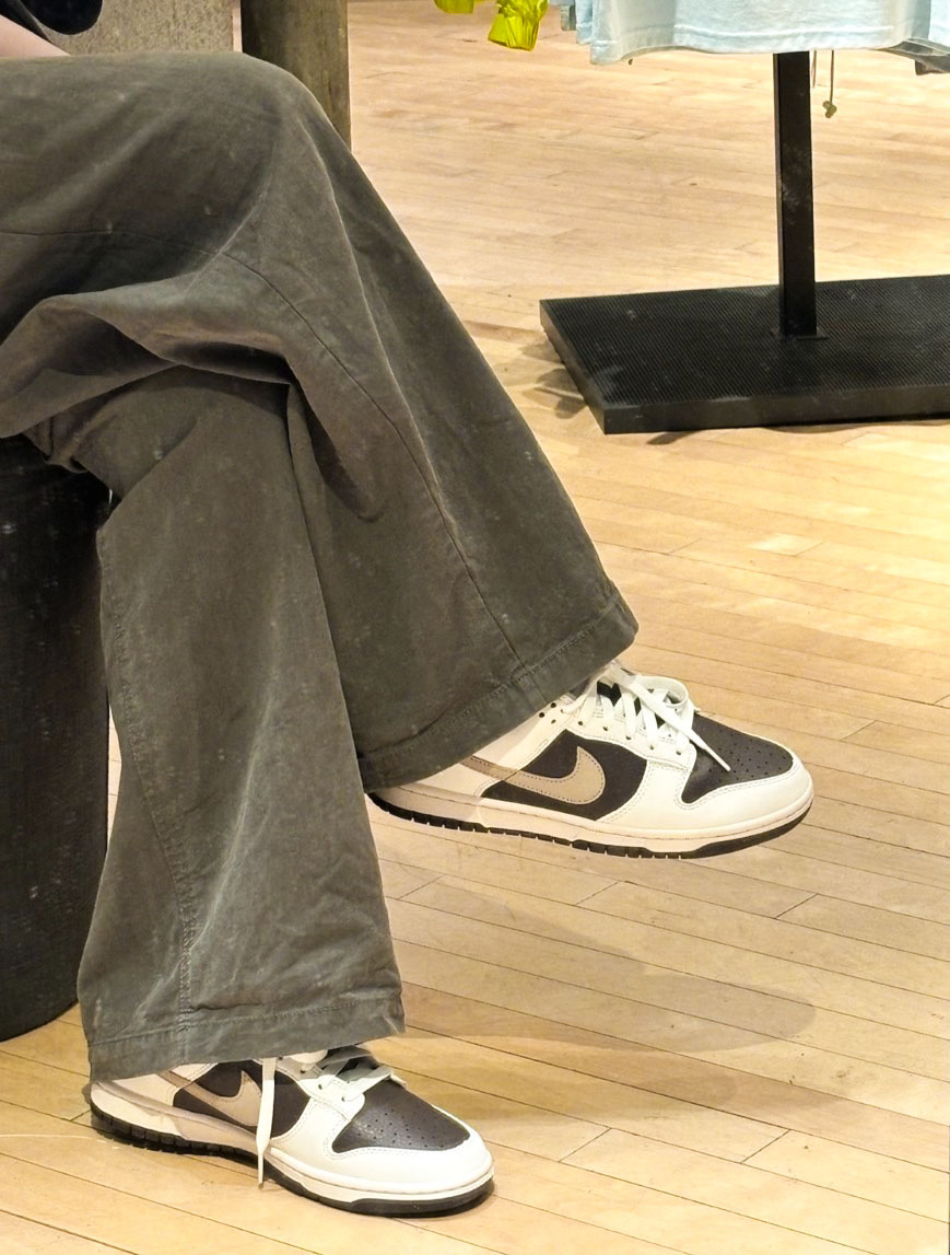 Nike Dunk Low Next Nature "Baroque Brown" 反轉摩卡 巴洛克 棕色 HF4292100