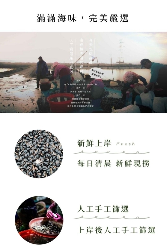 台灣蛤蜊▲真空包裝（冷藏配送）