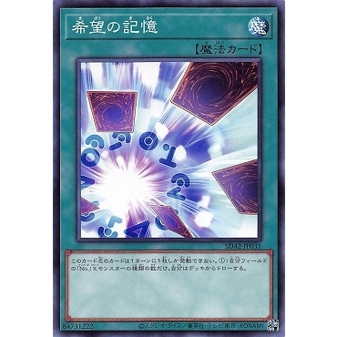 SD42-JP031 希望の記憶