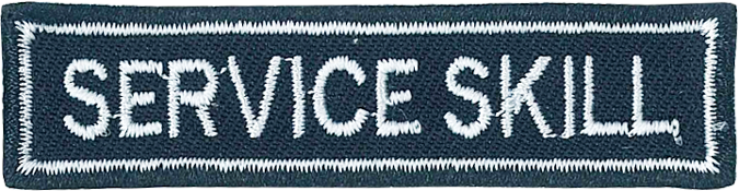 青年服務技巧資歷章