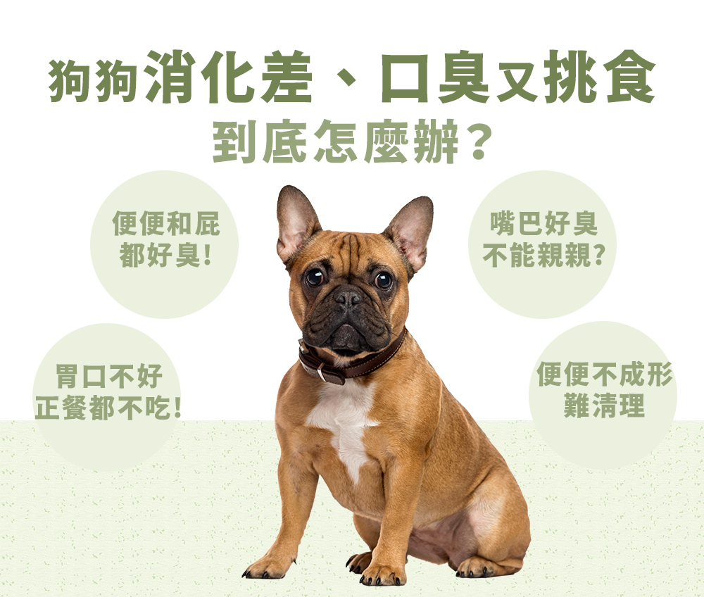 沛威寵物保健狗狗消化差該怎麼辦