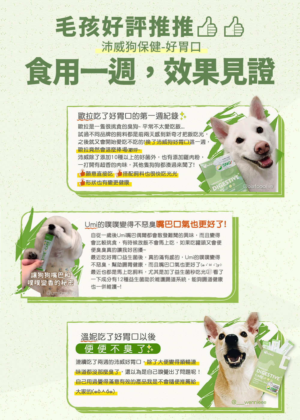 沛威寵物保健狗適口性高飼主推薦