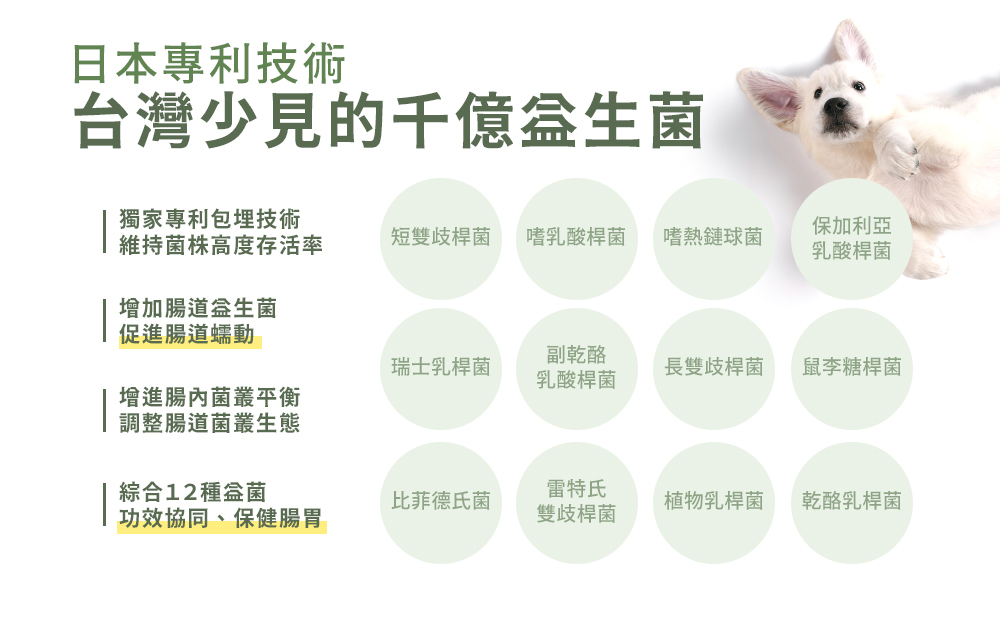 沛威狗保健益生菌說明