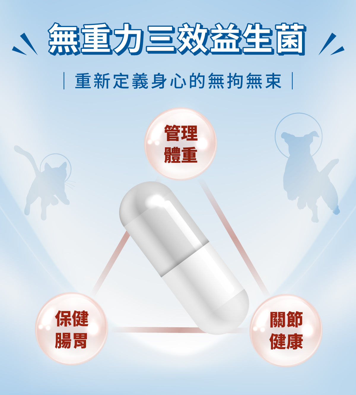 沛威寵物保健三效益生菌管理體重保健腸胃關節健康