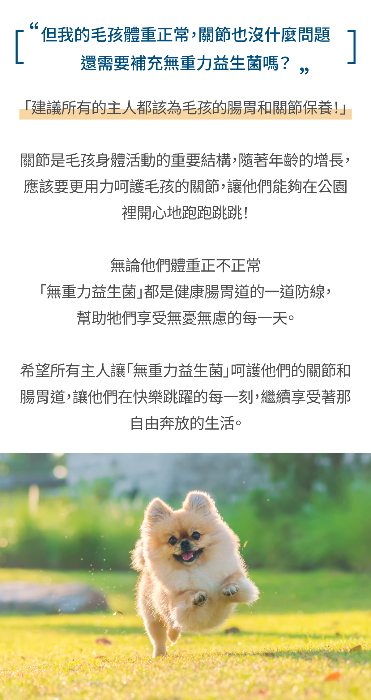 沛威寵物保健健康毛孩也需補充維持健康