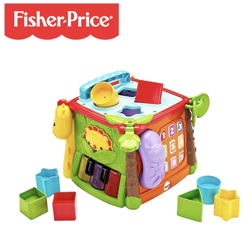 【樂森藥局】Fisher-Price 費雪 可愛動物積木盒(6m+適用)、聲光互動玩具