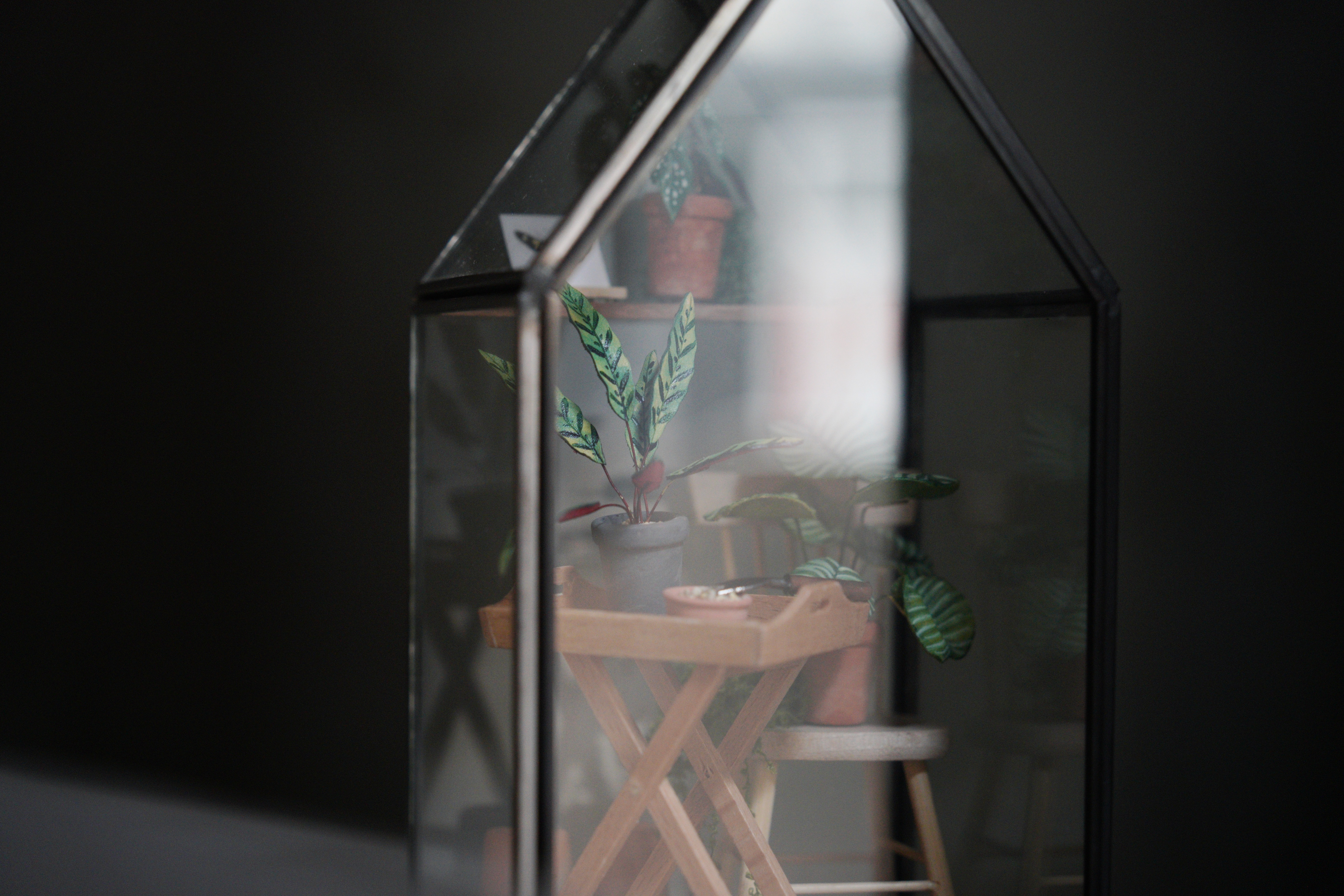 緩室 Huan's｜inner peace 玻璃溫室