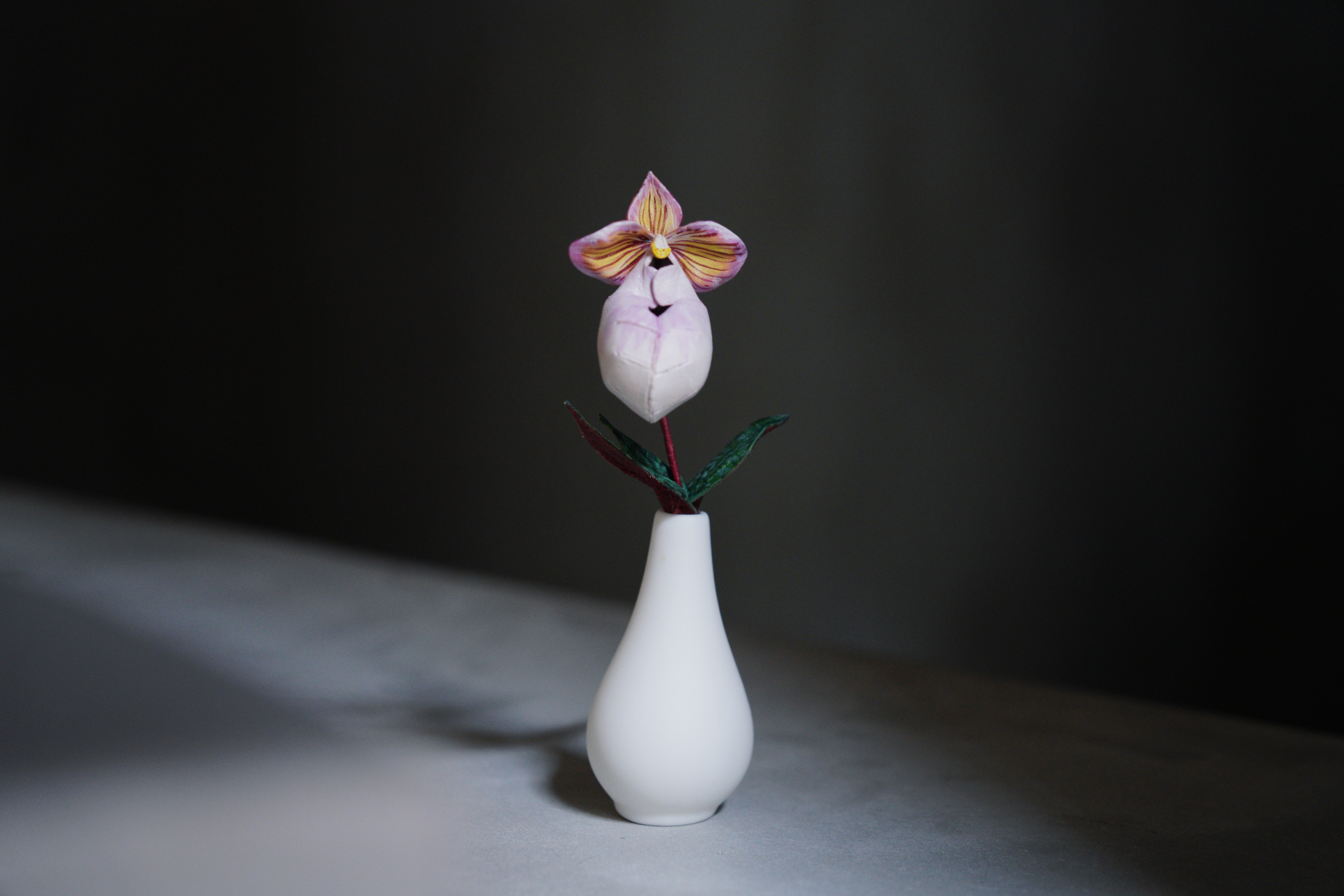 緩室 Huan's｜玉女仙履蘭盆栽 含白瓷盆器