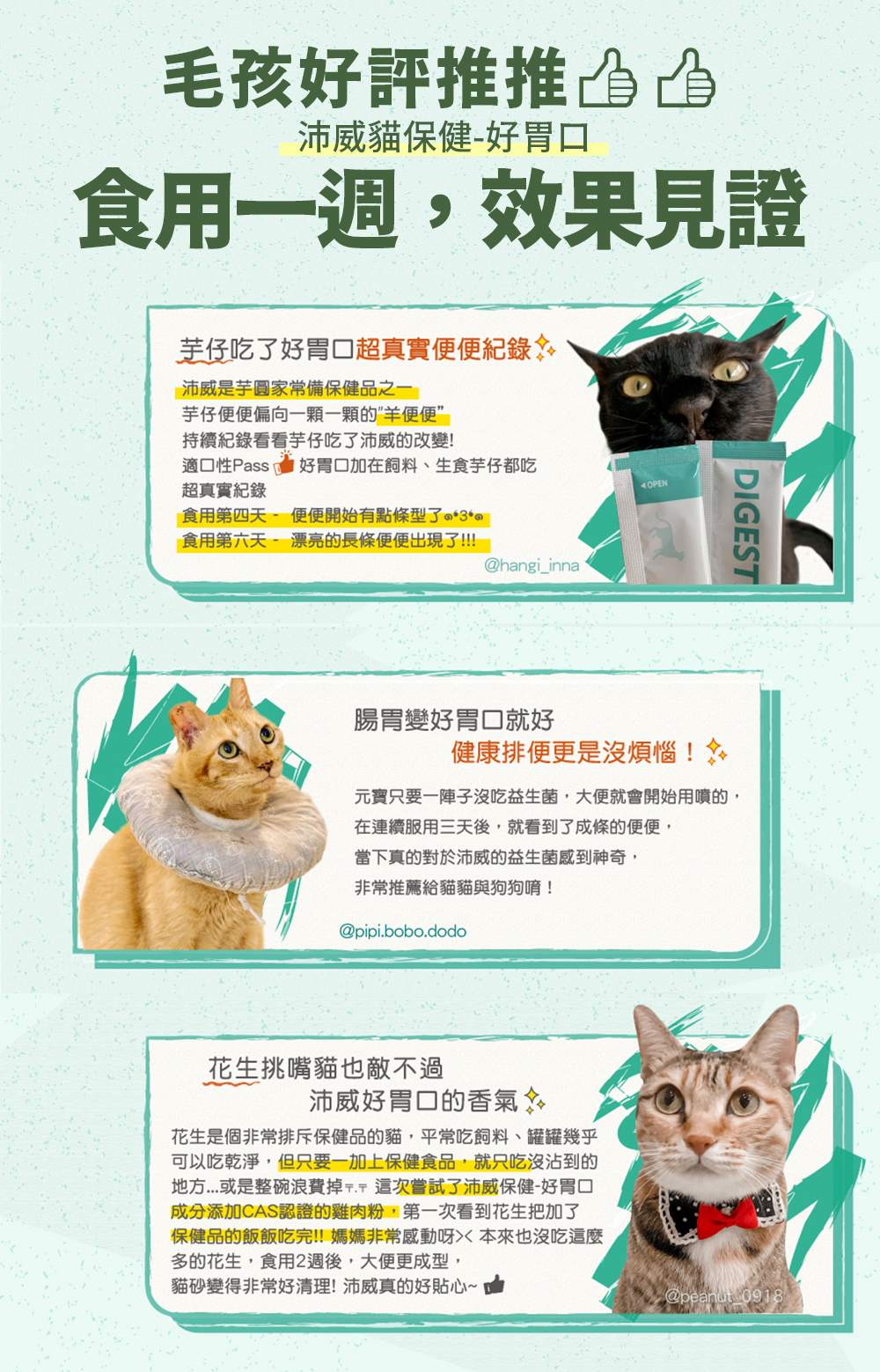 沛威貓益生菌食用心得