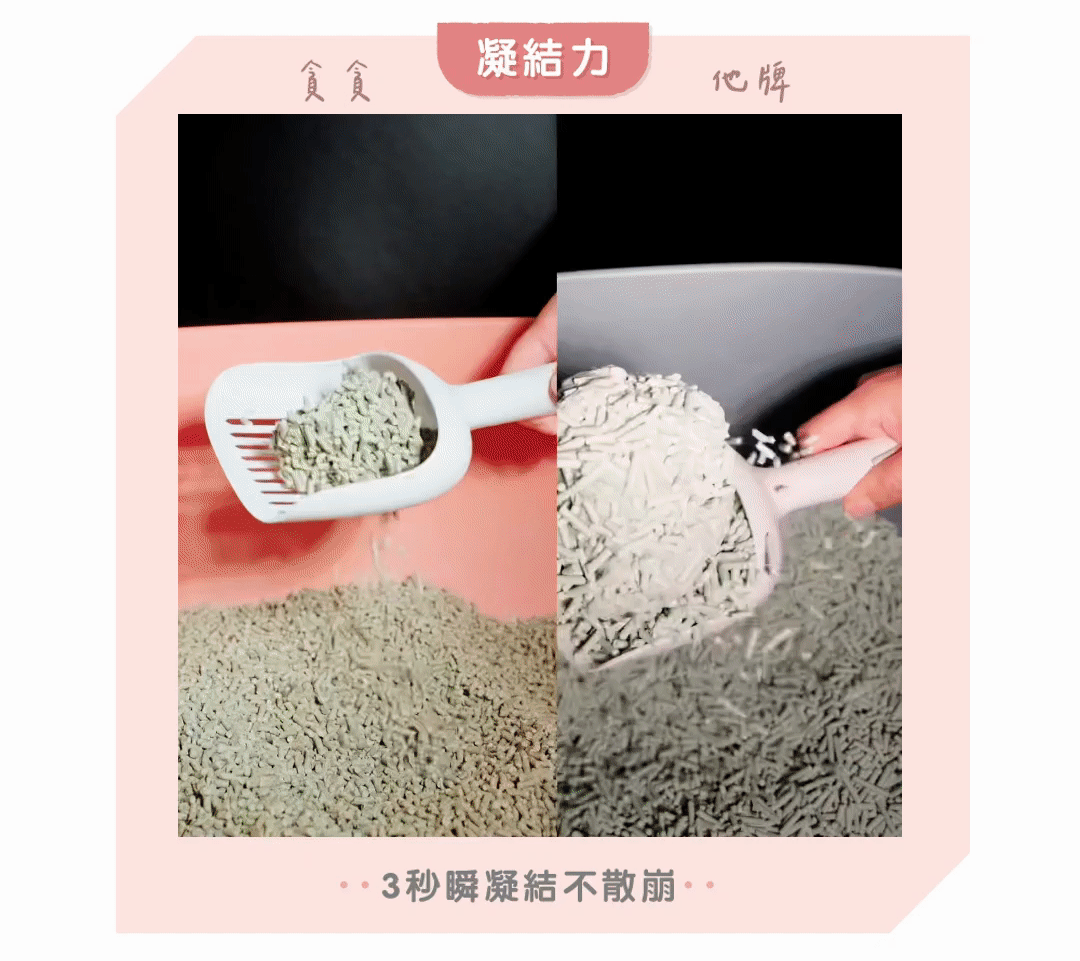 生態豆腐砂實測影片-凝結力