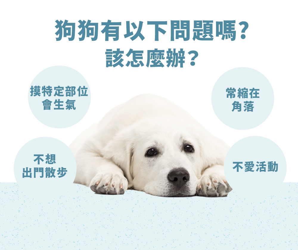 沛威狗保健顧關節關節照顧