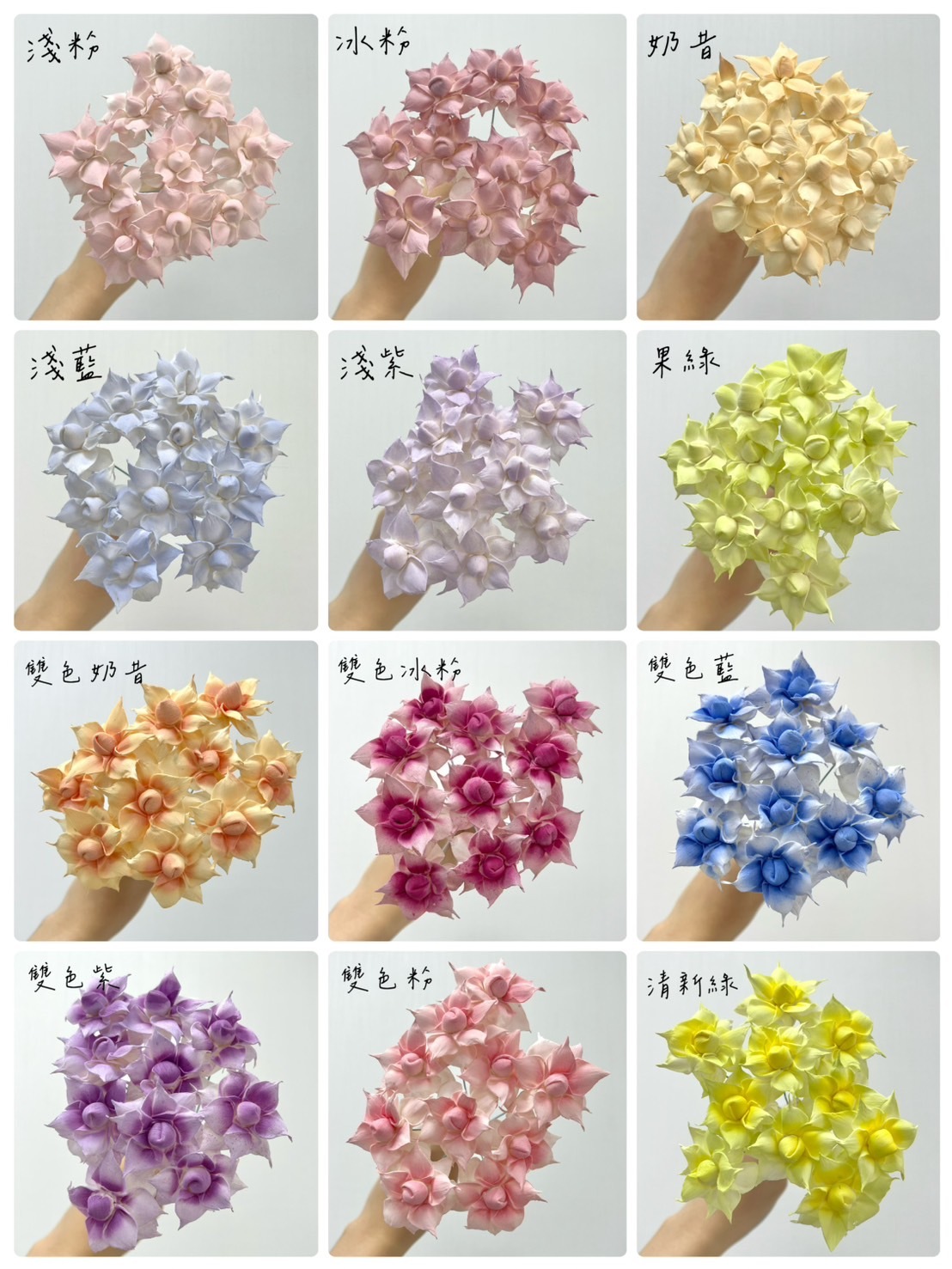 泰國索拉花  夕顏花 5CM <十支一把> (高品質)