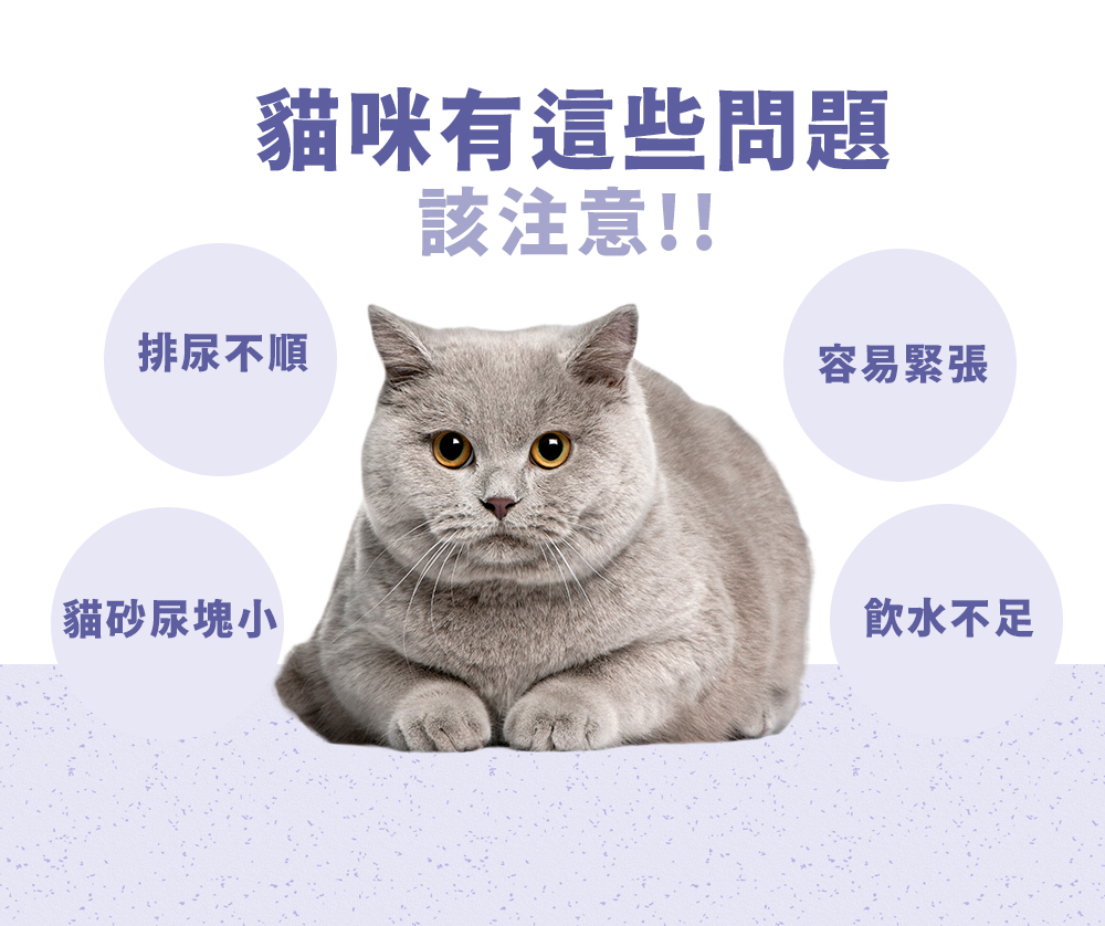 沛威貓保健泌尿道照顧