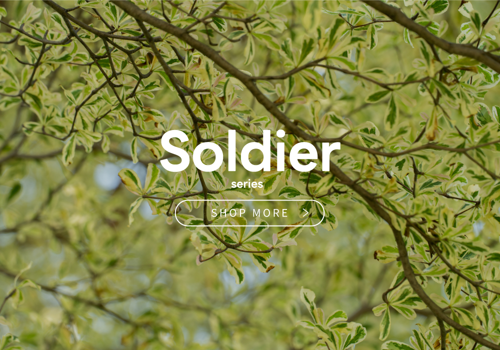 satana Soldier 趣遊漫步肩背包 奶茶色 SOS3050-419 看更多顏色