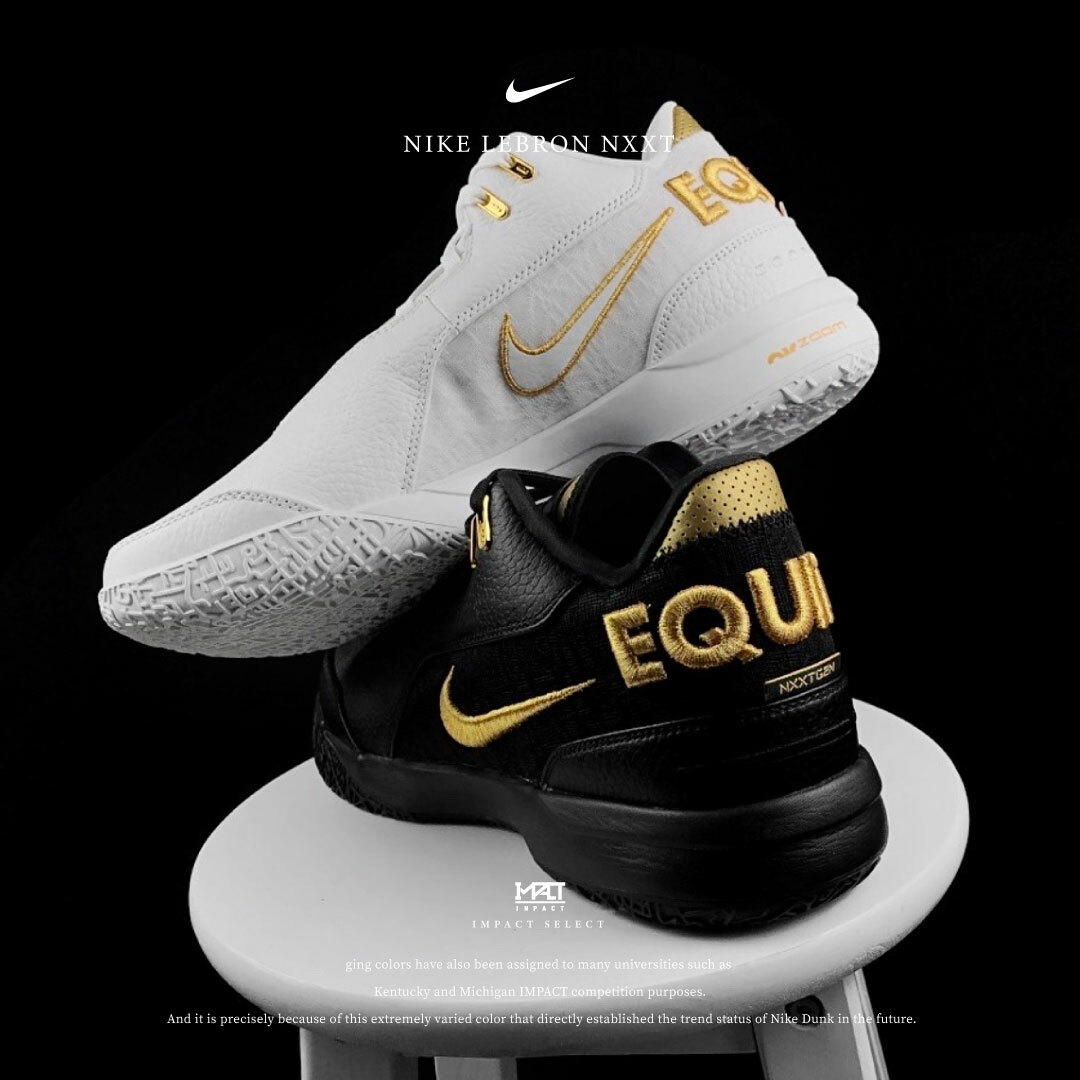 Nike LeBron NXXT Gen 鴛鴦 黑白金 FJ1567-103