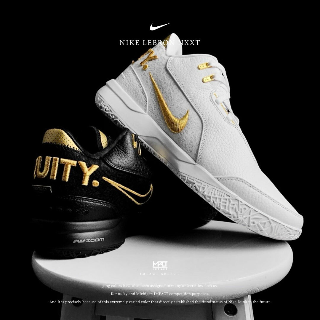 Nike LeBron NXXT Gen 鴛鴦 黑白金 FJ1567-103