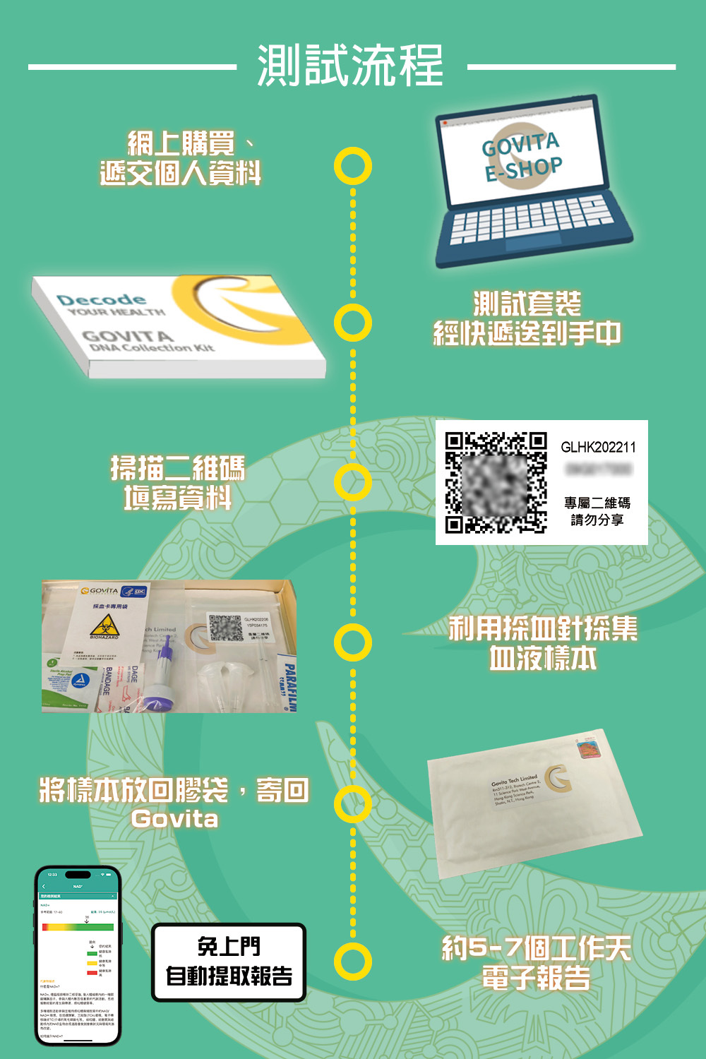 NAD+測試 | 抗衰老的能量來源